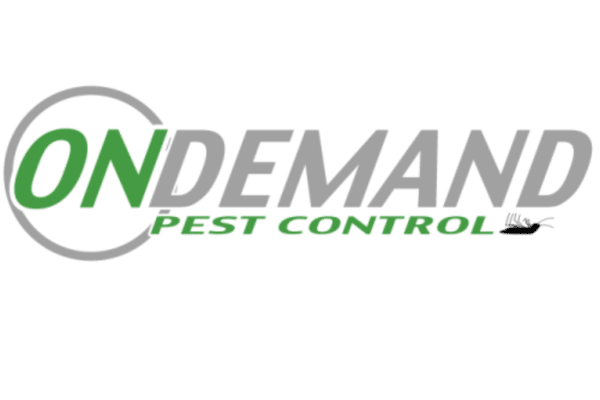 On Demand Pest Control Services in the USA: Fast & Reliable