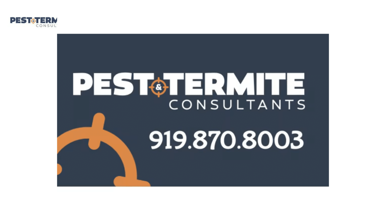 Expert Pest and Termite Consultants for Effective Solutions