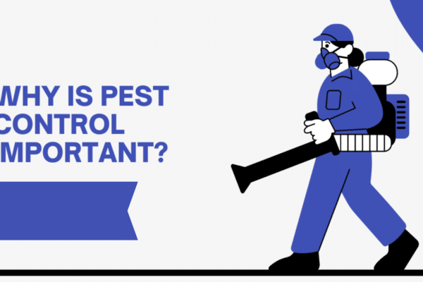 Why Is Pest Control Important for Homes in the US?