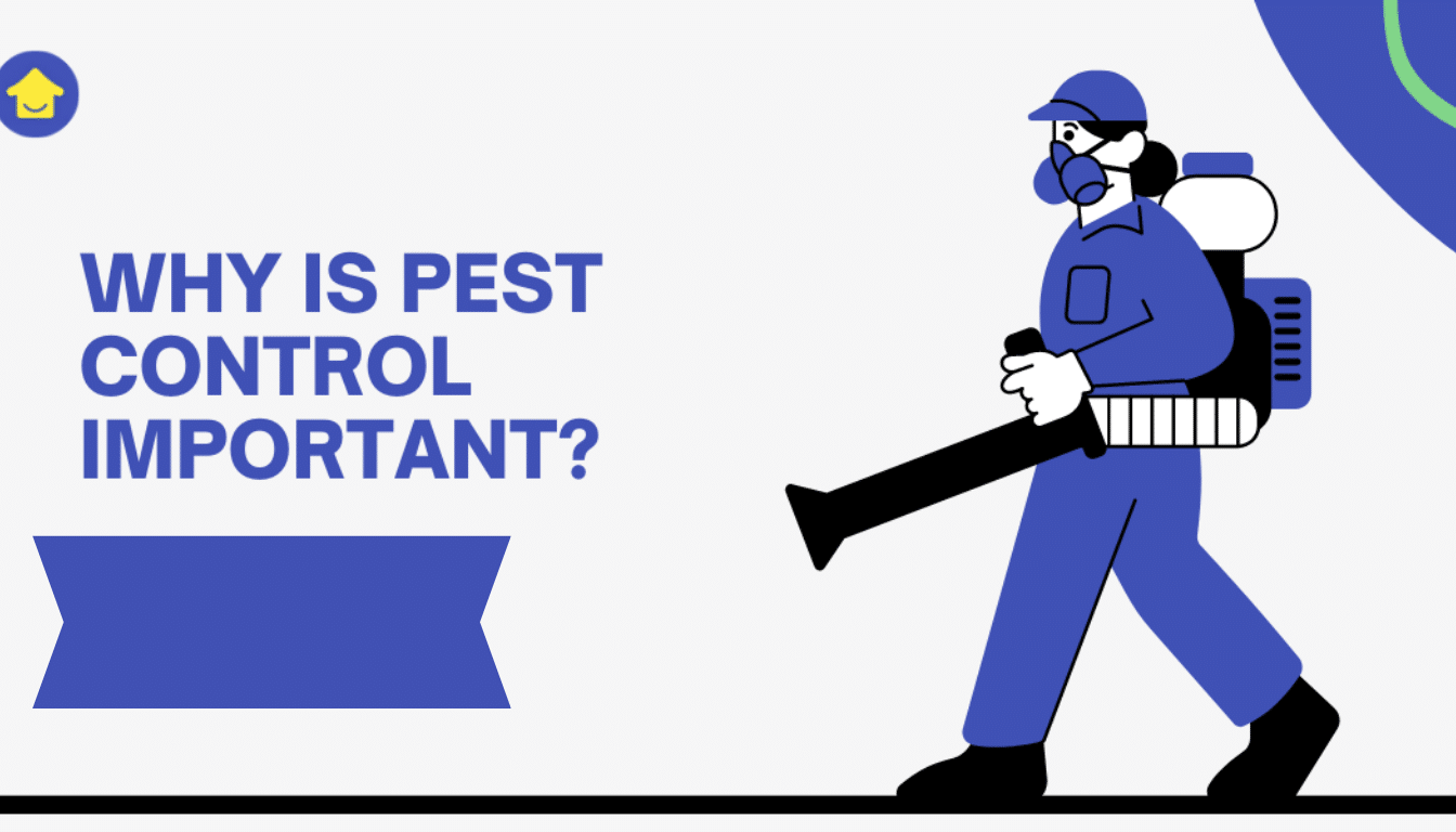 Why Is Pest Control Important for Homes in the US?